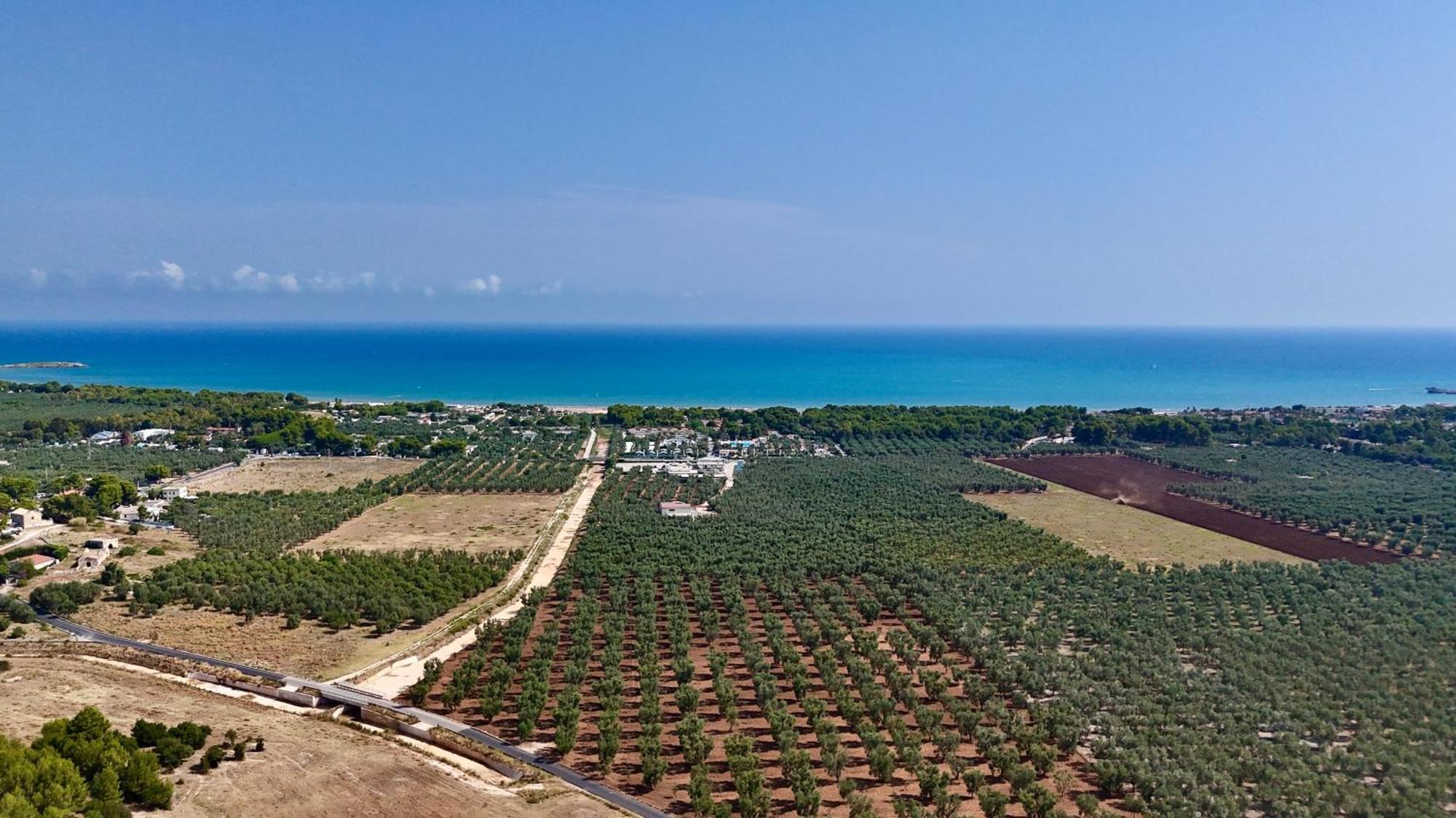 Villa Amica Vieste Buitenkant foto